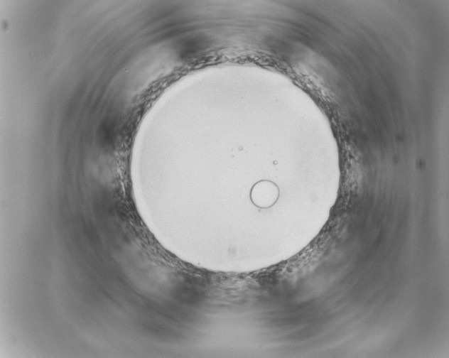 X0000087750824200706041059