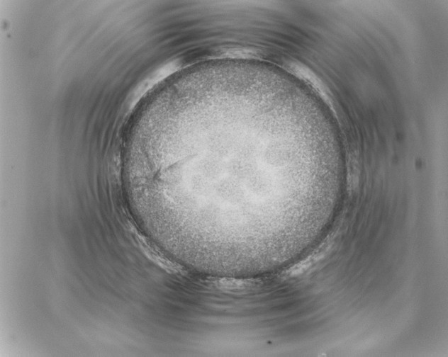 X0000087750827200706041059