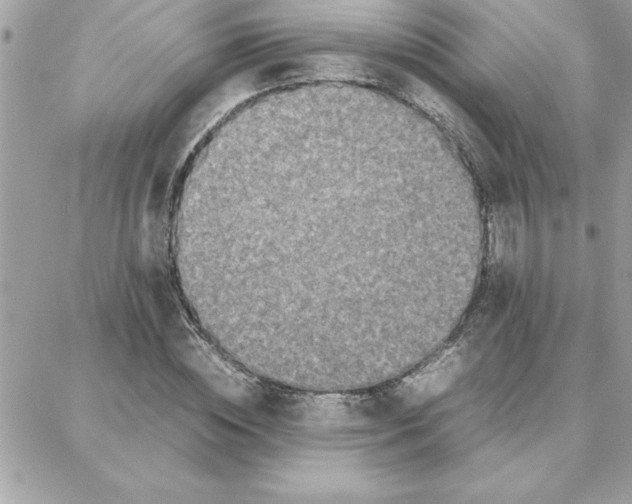 X0000087750828200706041059