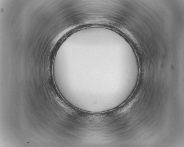 X0000087750830200706041059