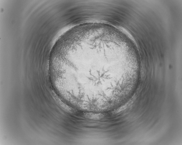 X0000087750831200706041059