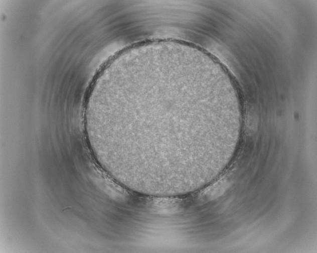 X0000087750832200706041059