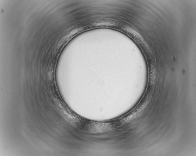 X0000087750833200706041059