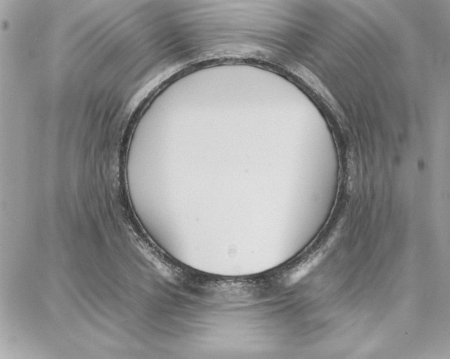 X0000087750834200706041059