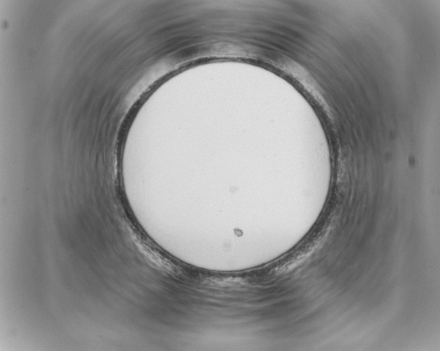 X0000087750837200706041059