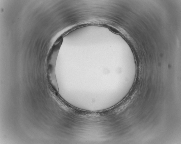 X0000087750838200706041059