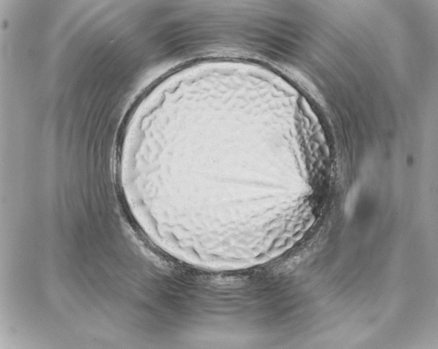 X0000087750839200706041059