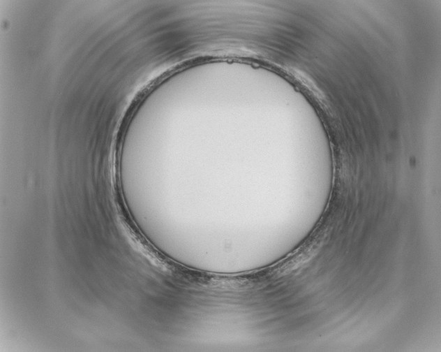 X0000087750840200706041059