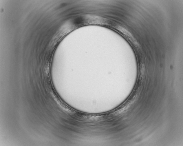 X0000087750841200706041059