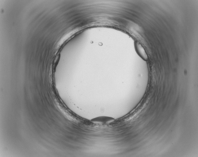 X0000087750842200706041059