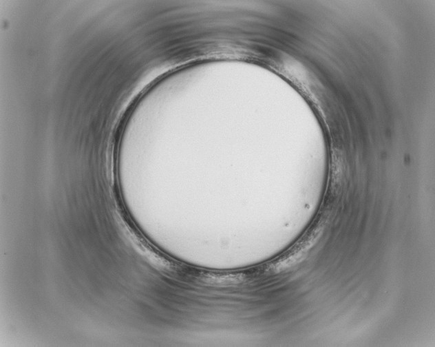 X0000087750843200706041059