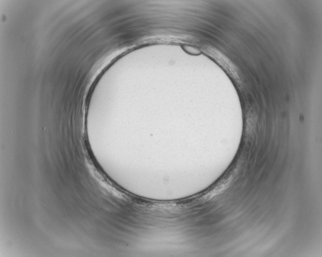 X0000087750844200706041059