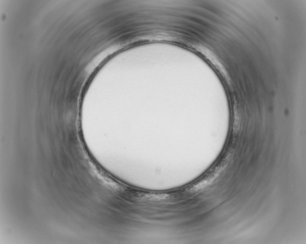 X0000087750845200706041100