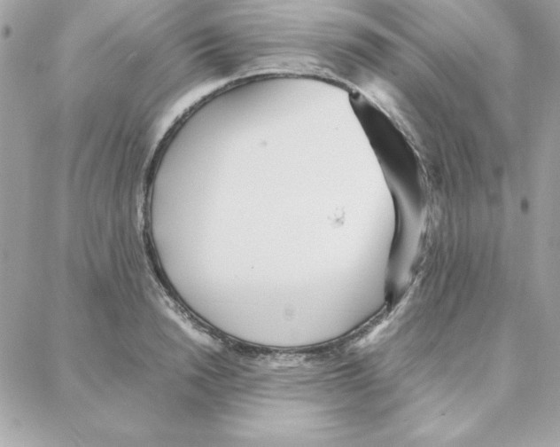 X0000087750846200706041100