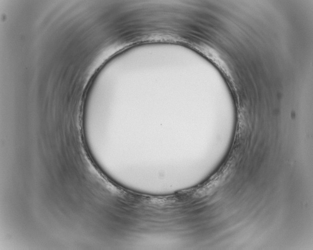 X0000087750847200706041100