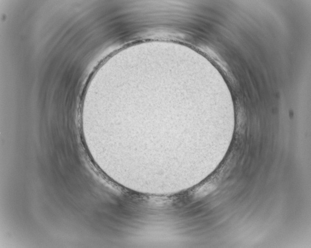 X0000087750848200706041100