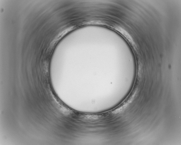 X0000087750849200706041100