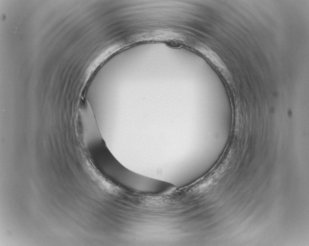 X0000087750850200706041100