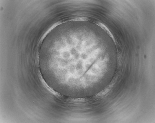 X0000087750851200706041100