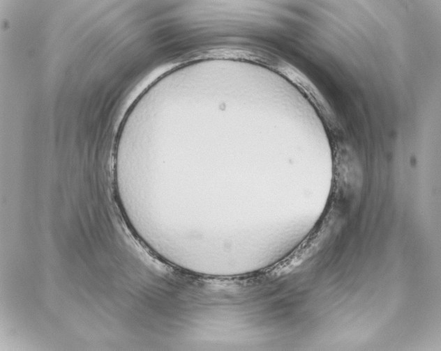 X0000087750852200706041100