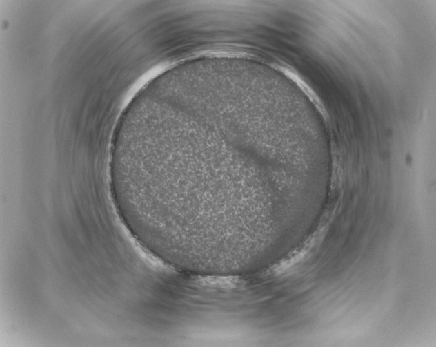 X0000087750853200706041100