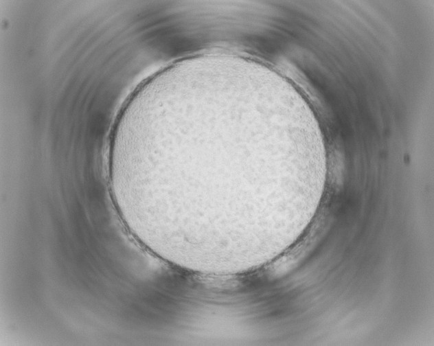 X0000087750856200706041100