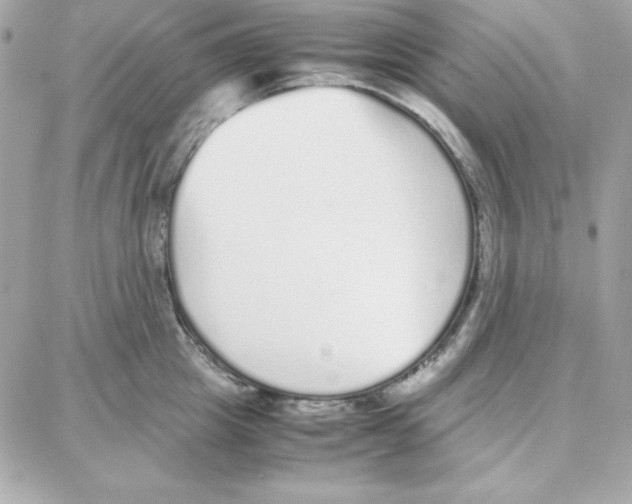 X0000087750857200706041100