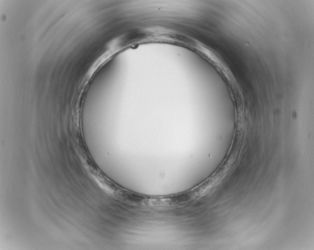 X0000087750858200706041100