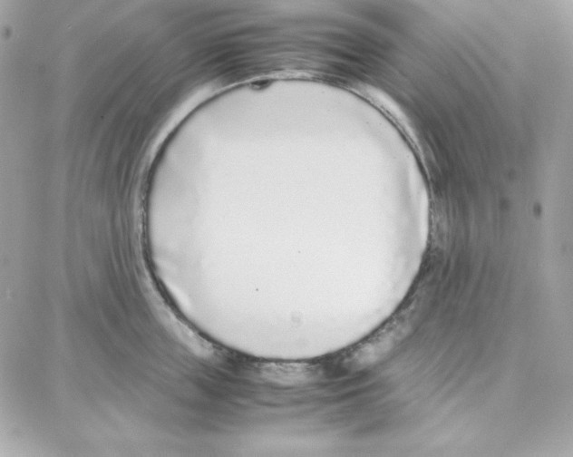 X0000087750859200706041100