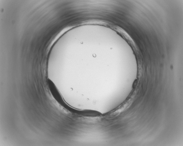 X0000087750860200706041100