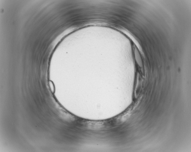 X0000087750861200706041100