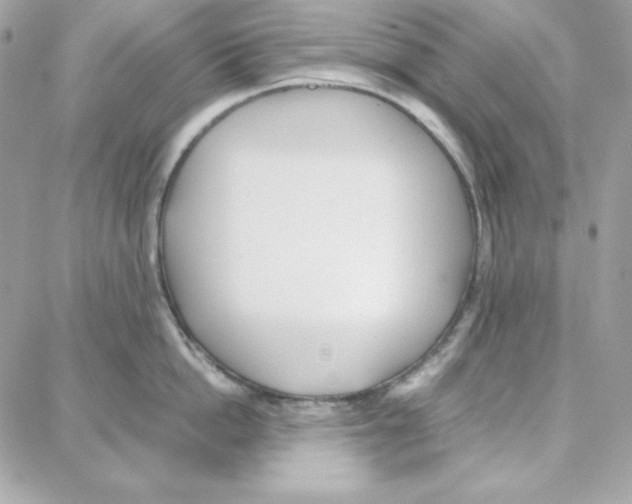 X0000087750862200706041100