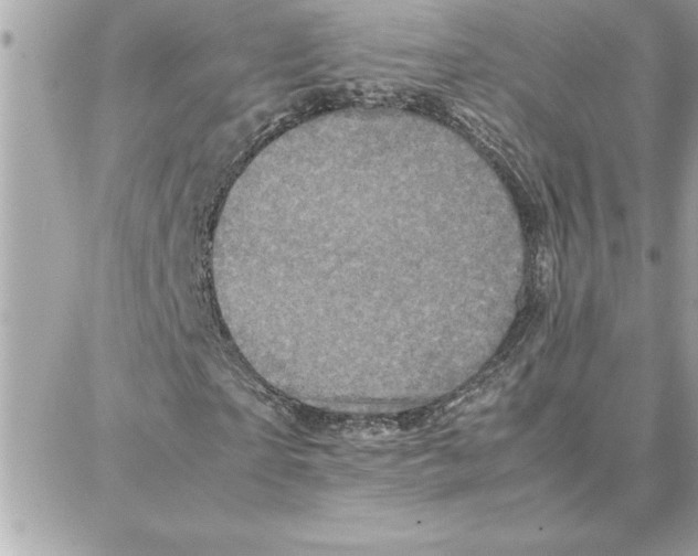 X0000087750865200706041059