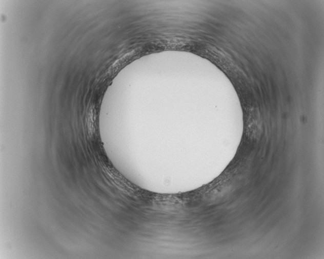 X0000087750866200706041059