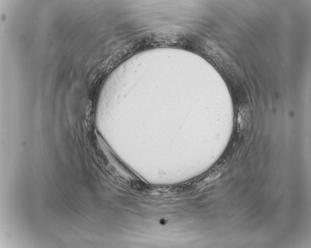 X0000087750867200706041059