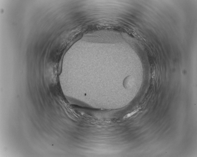 X0000087750868200706041059