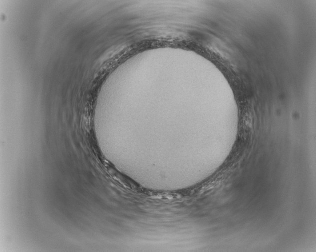 X0000087750869200706041059