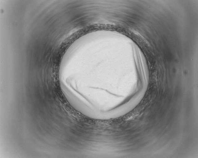 X0000087750870200706041059