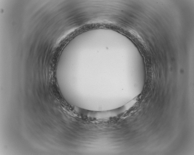 X0000087750872200706041059