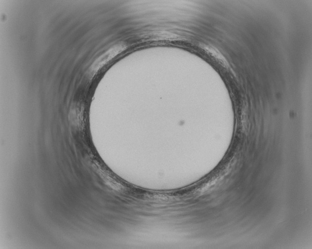 X0000087750873200706041059