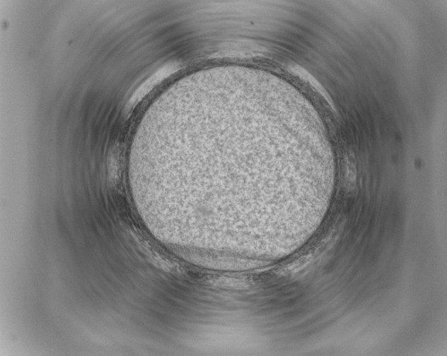 X0000087750874200706041059