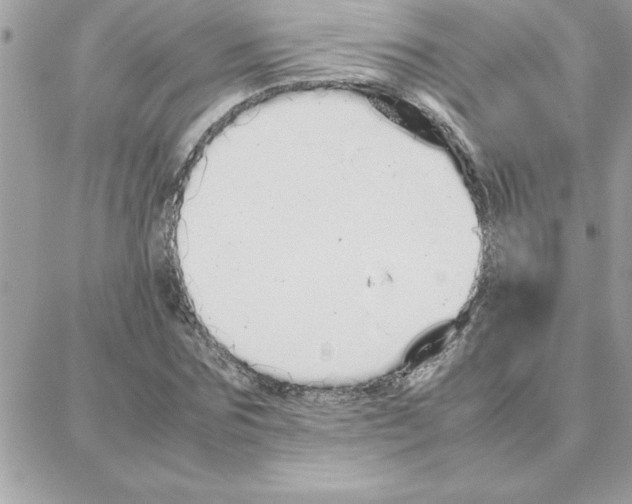 X0000087750875200706041059