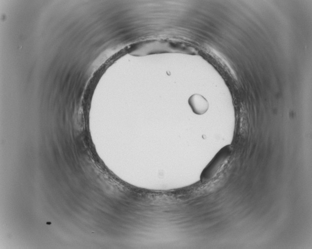 X0000087750876200706041059