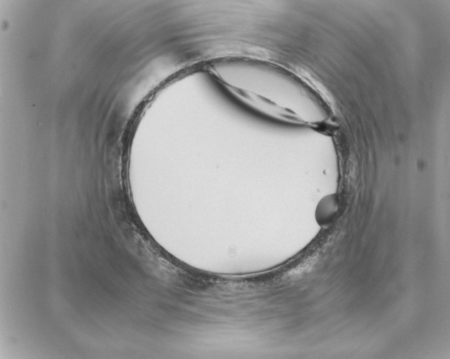 X0000087750877200706041059