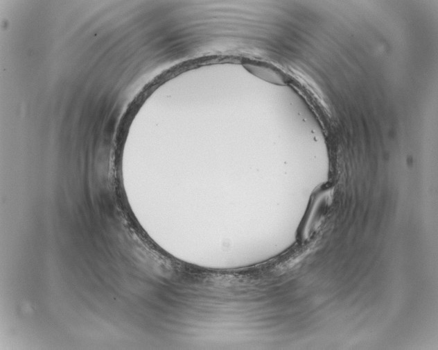 X0000087750880200706041059