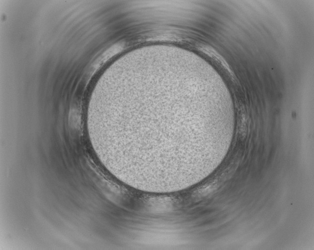 X0000087750882200706041059