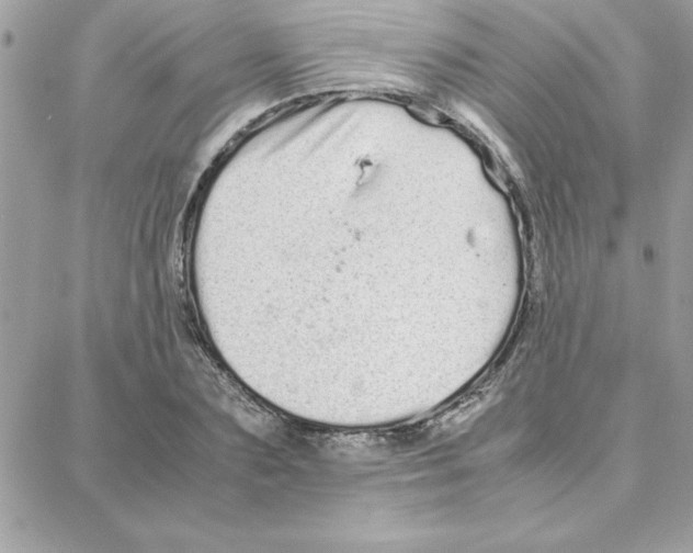 X0000087750883200706041059