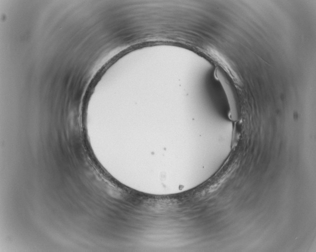 X0000087750884200706041059