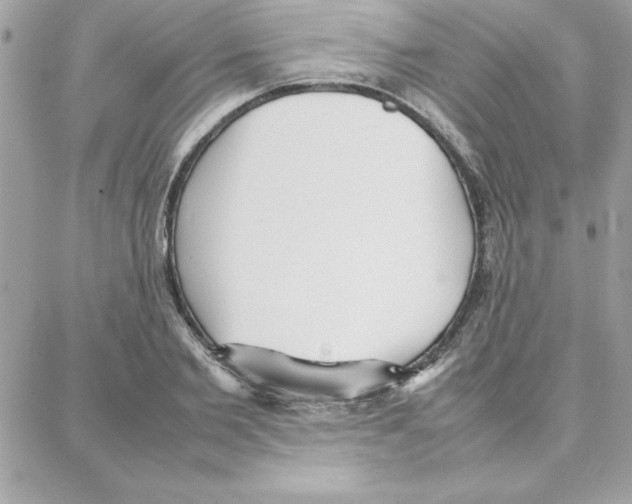 X0000087750885200706041059