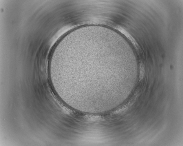 X0000087750886200706041059